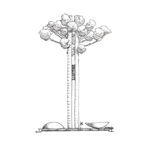 AS ARAUCÁRIAS - A PRAÇA