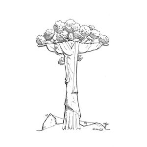 AS ARAUCÁRIAS - O REDENTOR