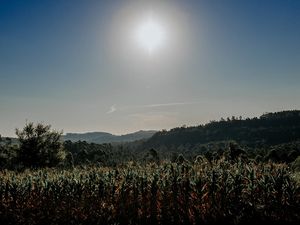 DIA DE SOL