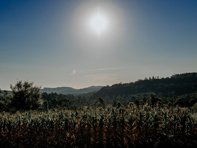 DIA DE SOL