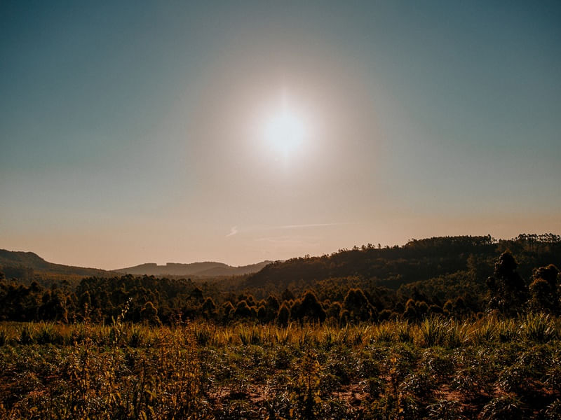 CÉU, SOL E SUL!