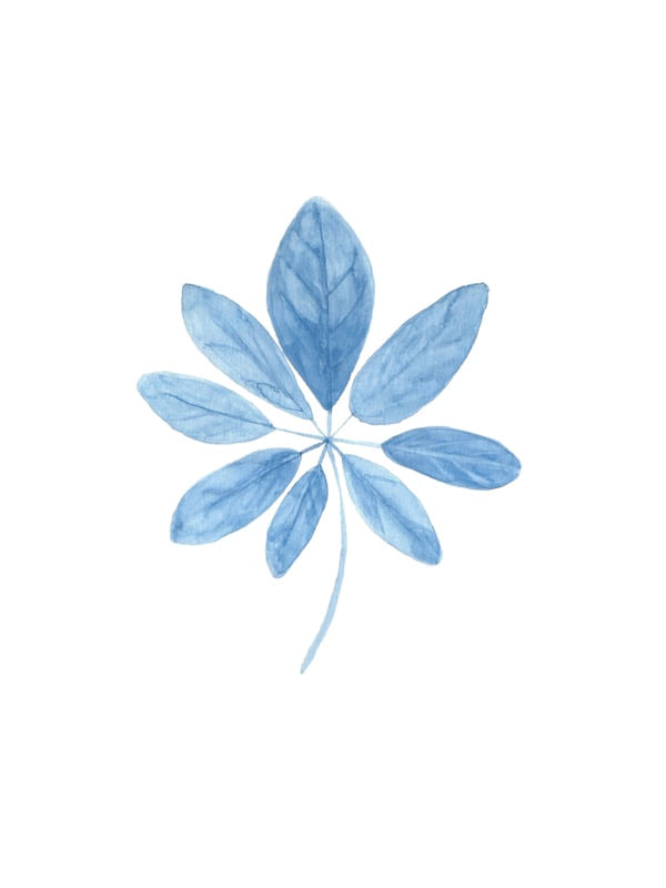 FLORAL AZUL #1
