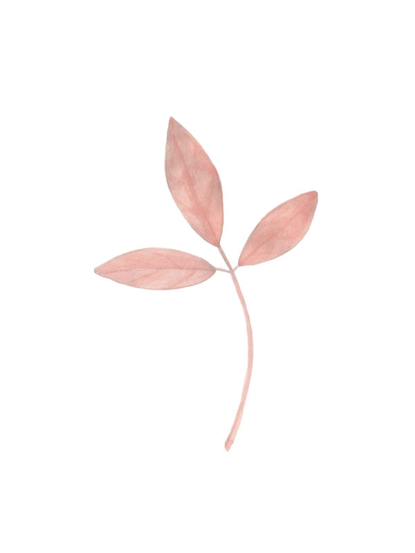 FLORAL ROSA #2