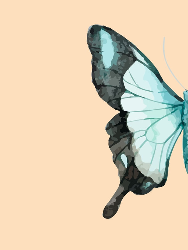 BORBOLETA CORAL