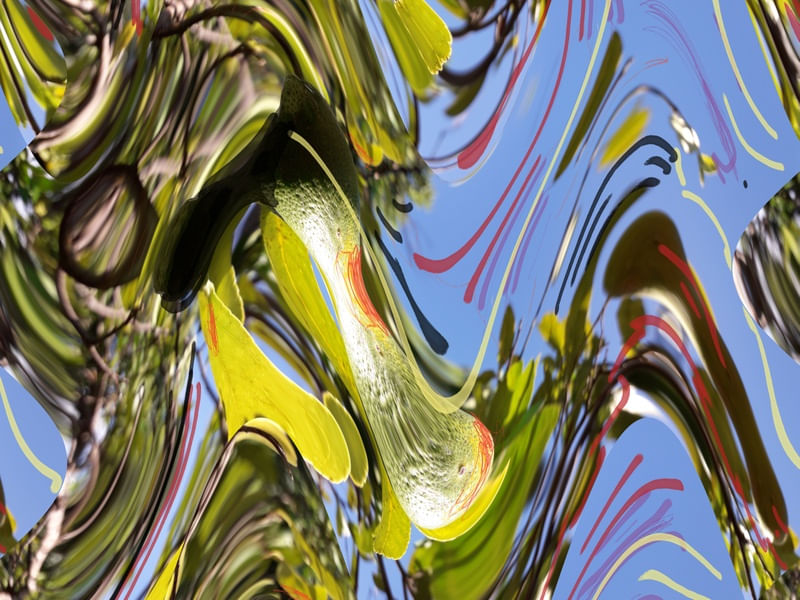 28