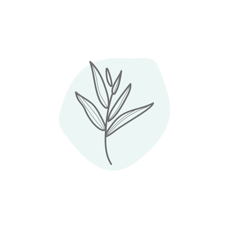 ARTE FLOR MINIMALISTA 3
