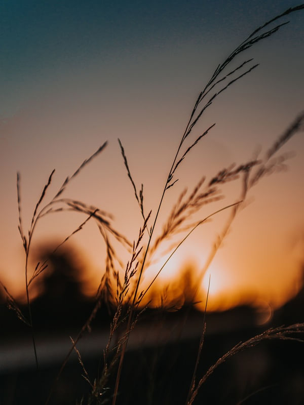 BELAS PAISAGEM NO SUL