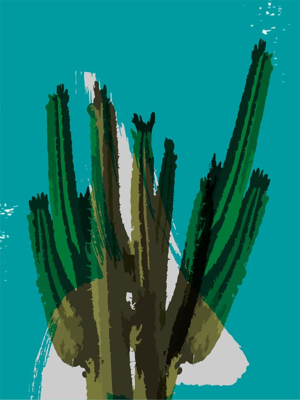 CACTUS 4 - DV
