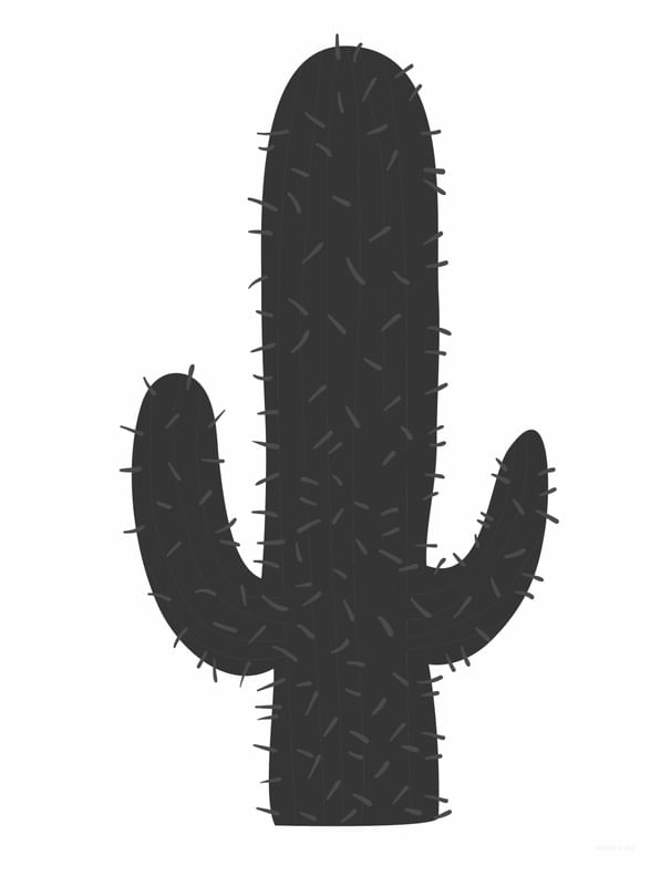 CACTO BLACK