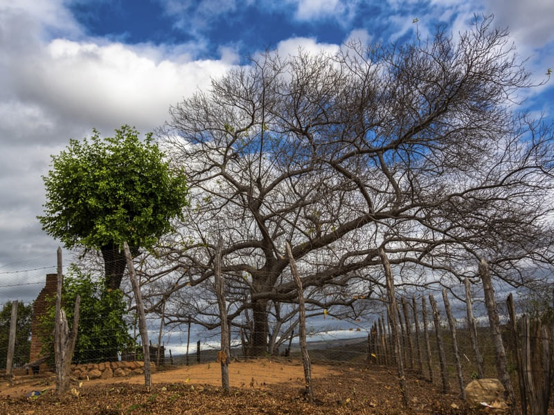 CONTRASTES_PAISAGENS DO SERTÃO_ASSARÉ_CE