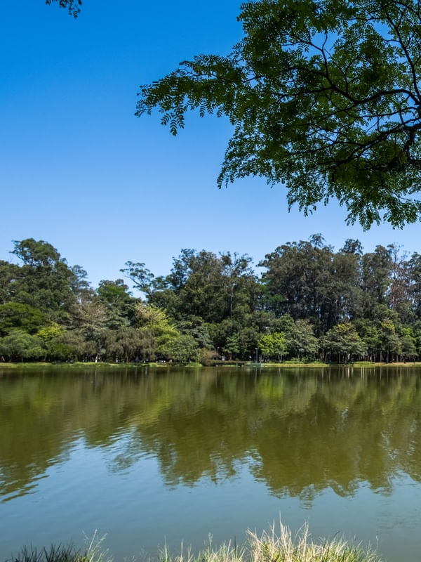 DÍPTICO CONTEMPLAÇÃO NO IBIRAPUERA_01