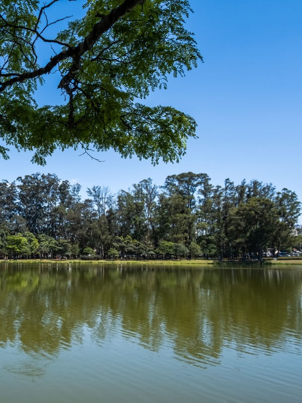 DÍPTICO CONTEMPLAÇÃO NO IBIRAPUERA_02
