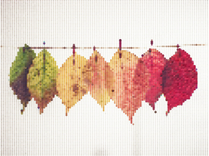 DOT COLOR LEAVES