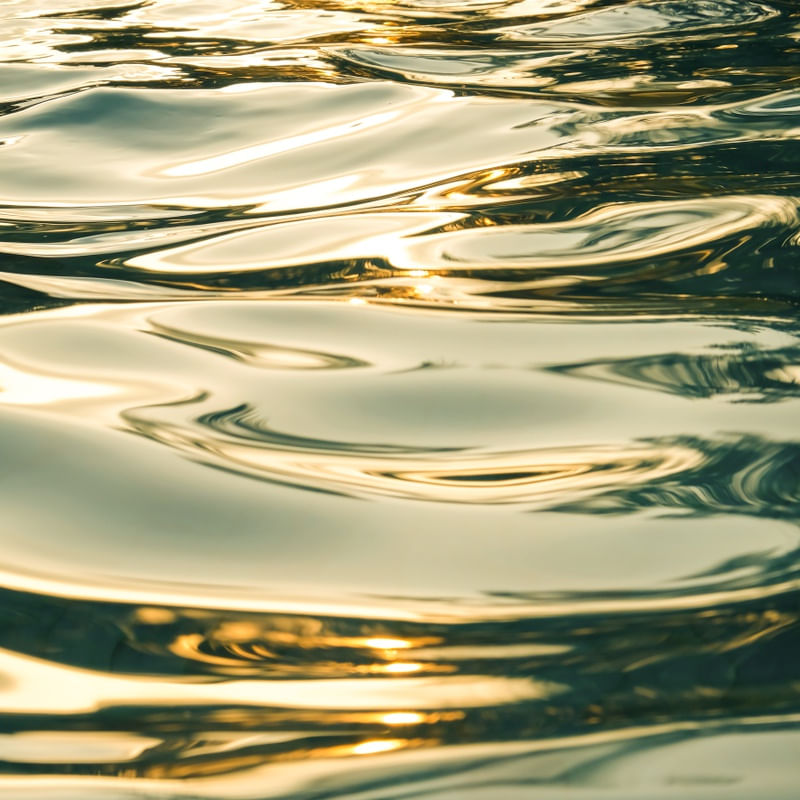 GOLDEN REFLEX
