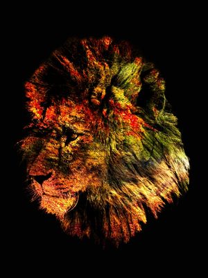 LION NT BR EX RET