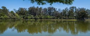 PANORÂMICA CONTEMPLAÇÃO NO PARQUE