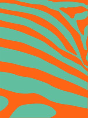 POP-ZEBRA 4