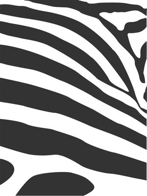 POP-ZEBRA 8