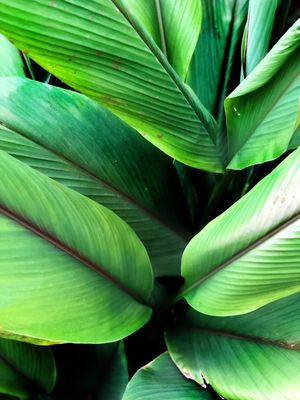 NATURE 02