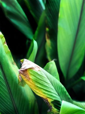 NATURE 03