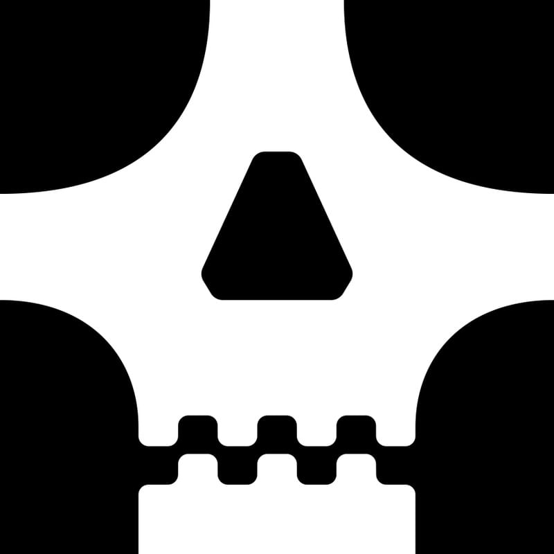 SKULL ON CANVAS 01