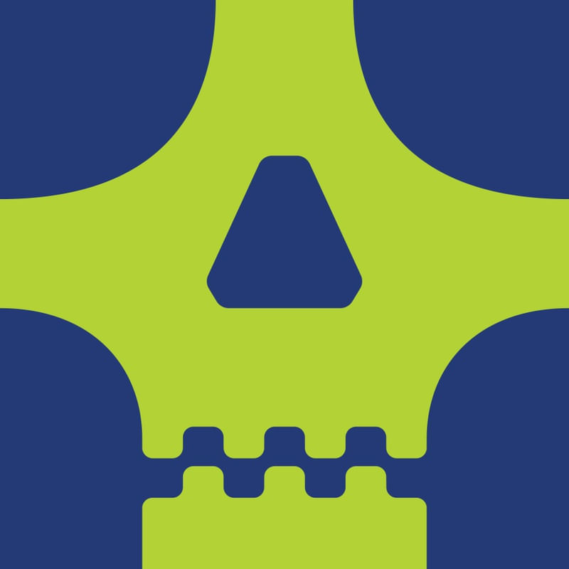SKULL ON CANVAS 04