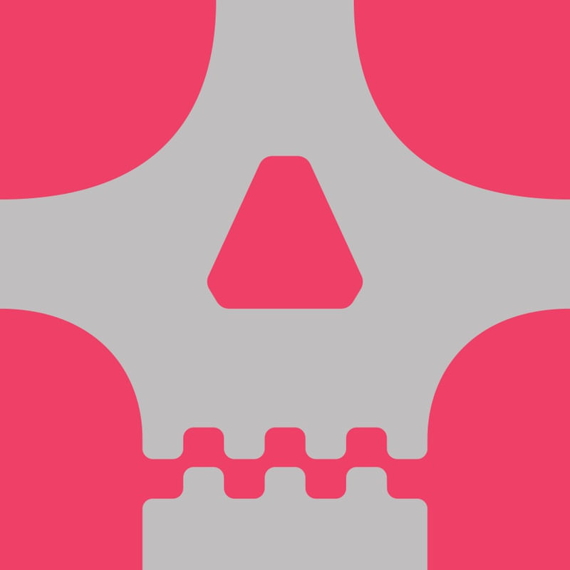 SKULL ON CANVAS 05