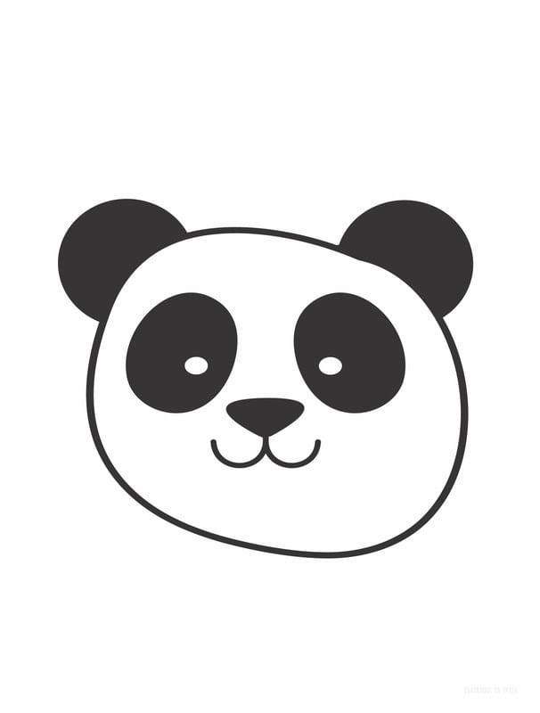 PANDA LINO