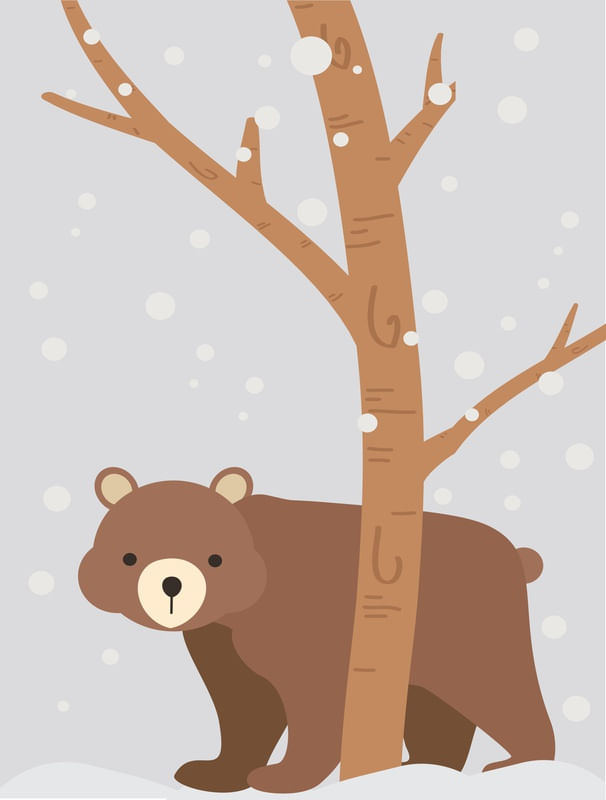 URSO NEVASCA