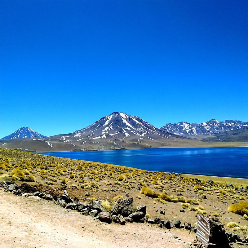 LAGUNA MISCANTI ACATAMA