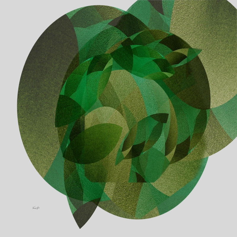 PLANTAS-GEOMÉTRICO -ABSTRATO 1965