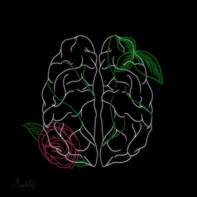 CULTIVANDO IDEIAS
