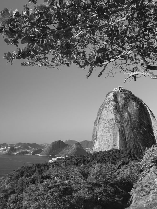 PÃO DE AÇUCAR - PRETO E BRANCO