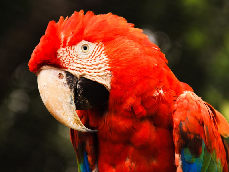ZOO7