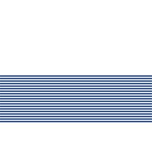 FILETE 1 - DV