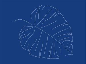 FOLHA AZUL 1 - DV