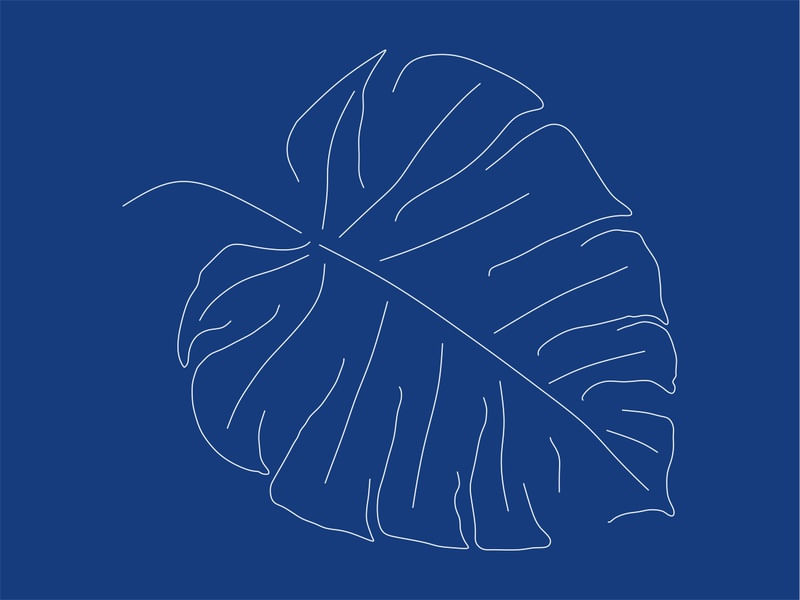 FOLHA AZUL 1 - DV