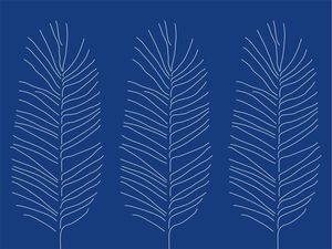 FOLHA AZUL 2 - DV