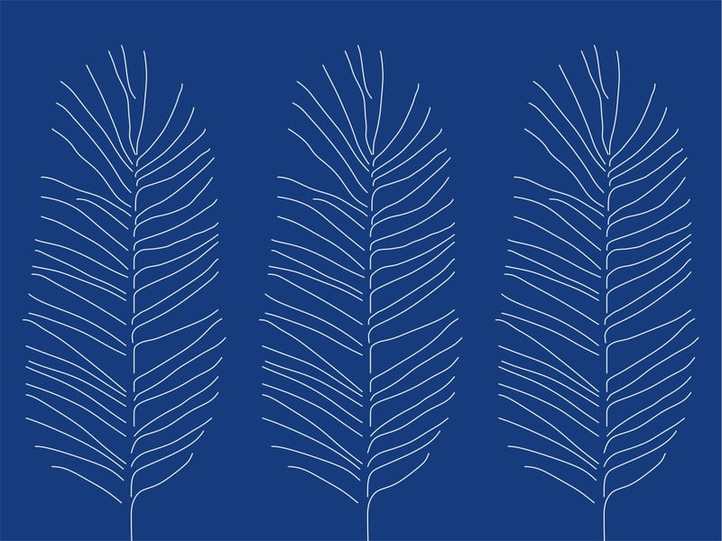 FOLHA AZUL 2 - DV