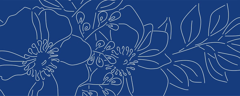 FOLHA AZUL 3 - DV