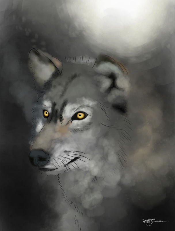 LOBO AQUARELA