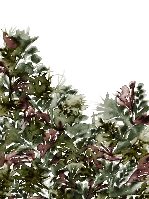 LIGHT BLOOMS 2