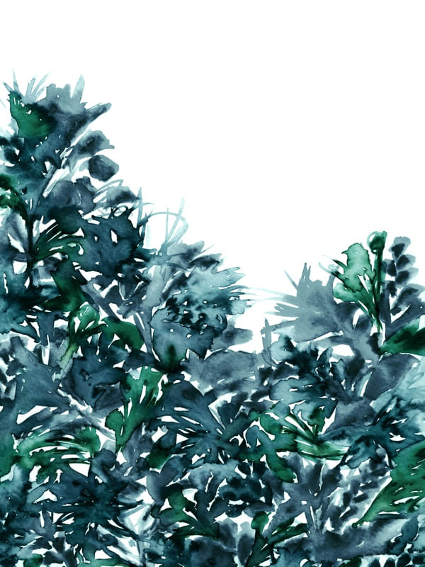 LIGHT BLOOMS 4