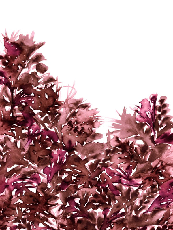 LIGHT BLOOMS 5