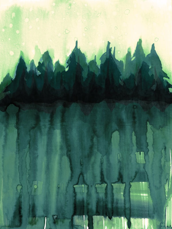 DISTANTE FLORESTA, VERDE