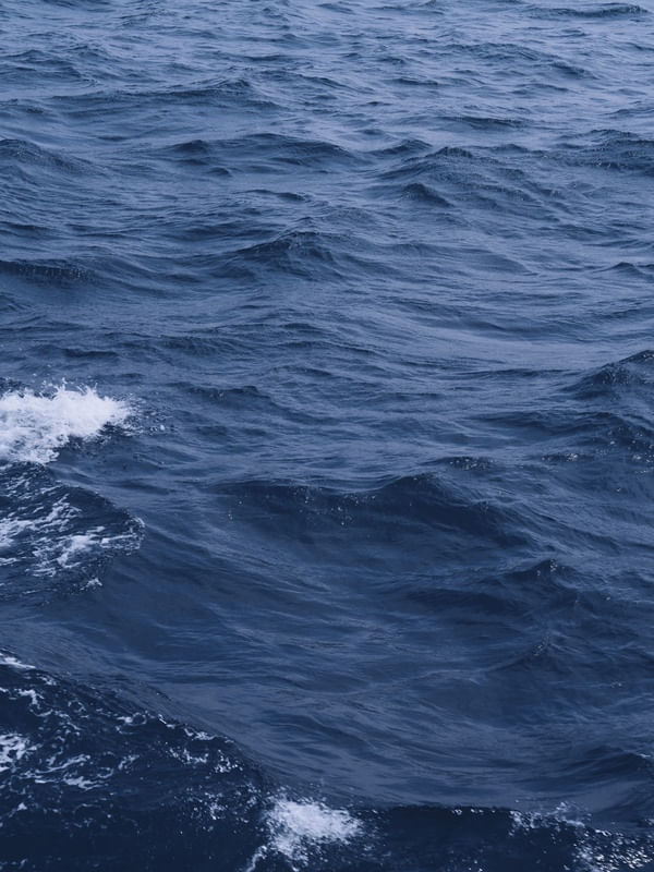 INTO THE DEEP OCEAN