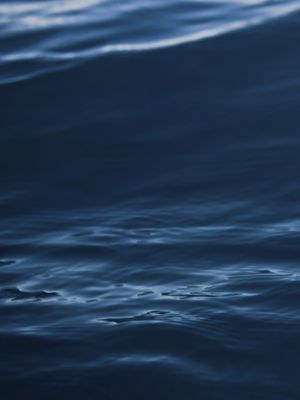 BLUE MIND