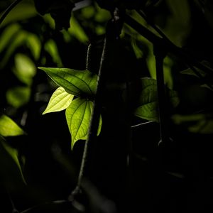 NATUREZA E SEUS DETALHES