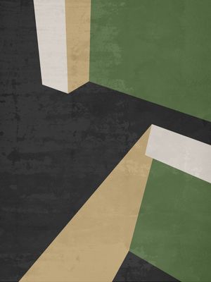 GEOMETRIC ILLUSION 101
