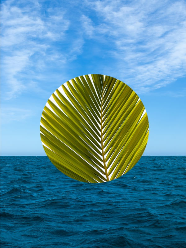 MAR_E_VERDE